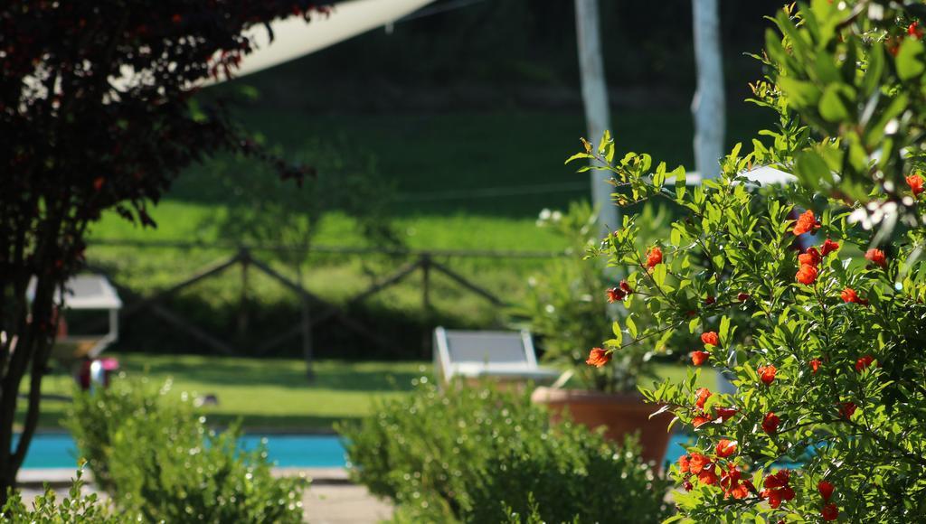 L'Ariete Guest House Montone  Exterior foto