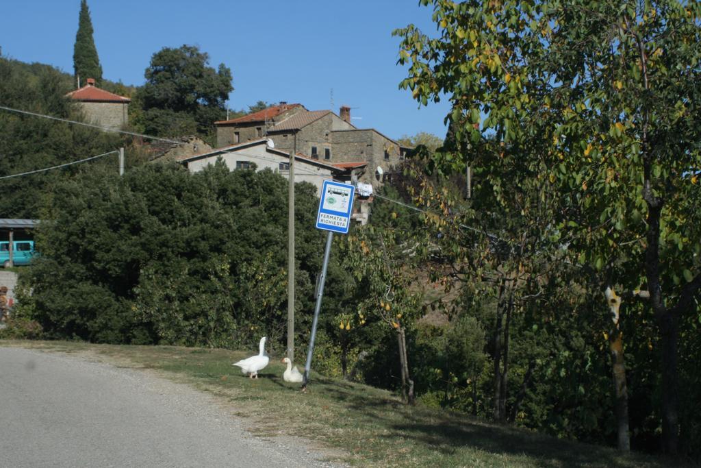 L'Ariete Guest House Montone  Exterior foto